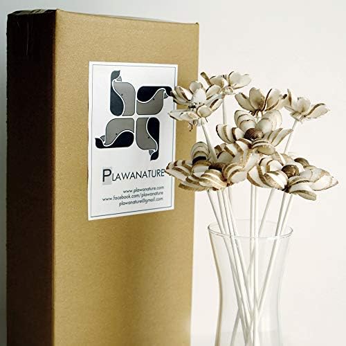 10 Geranium Sola Flower Reed Diffusers for Natural Home Fragrance