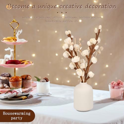 12 Pcs Reed Diffuser Set Elegant Home Fragrance