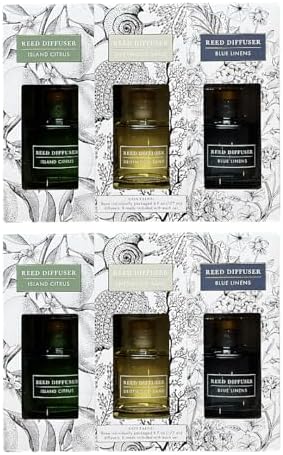 Bellevue Reed Diffuser Set 2 Pack 6 Fl Oz