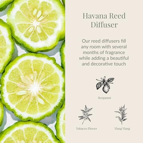 Archipelago Botanicals Havana Reed Diffuser Set