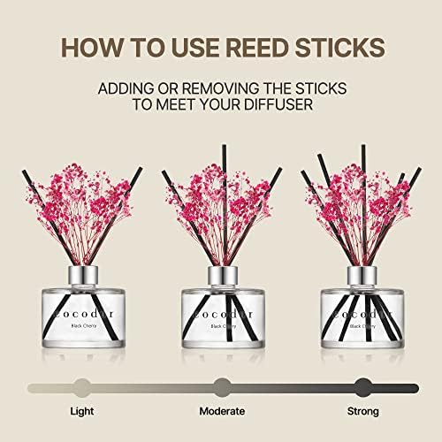 Cocodor April Breeze Reed Diffuser Set 2 Pack 67oz