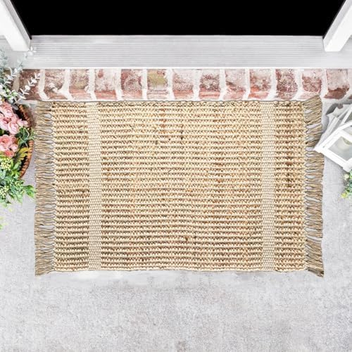 Chardin Home 2x3 Jute Cotton Woven Rug with Knotted Fringes