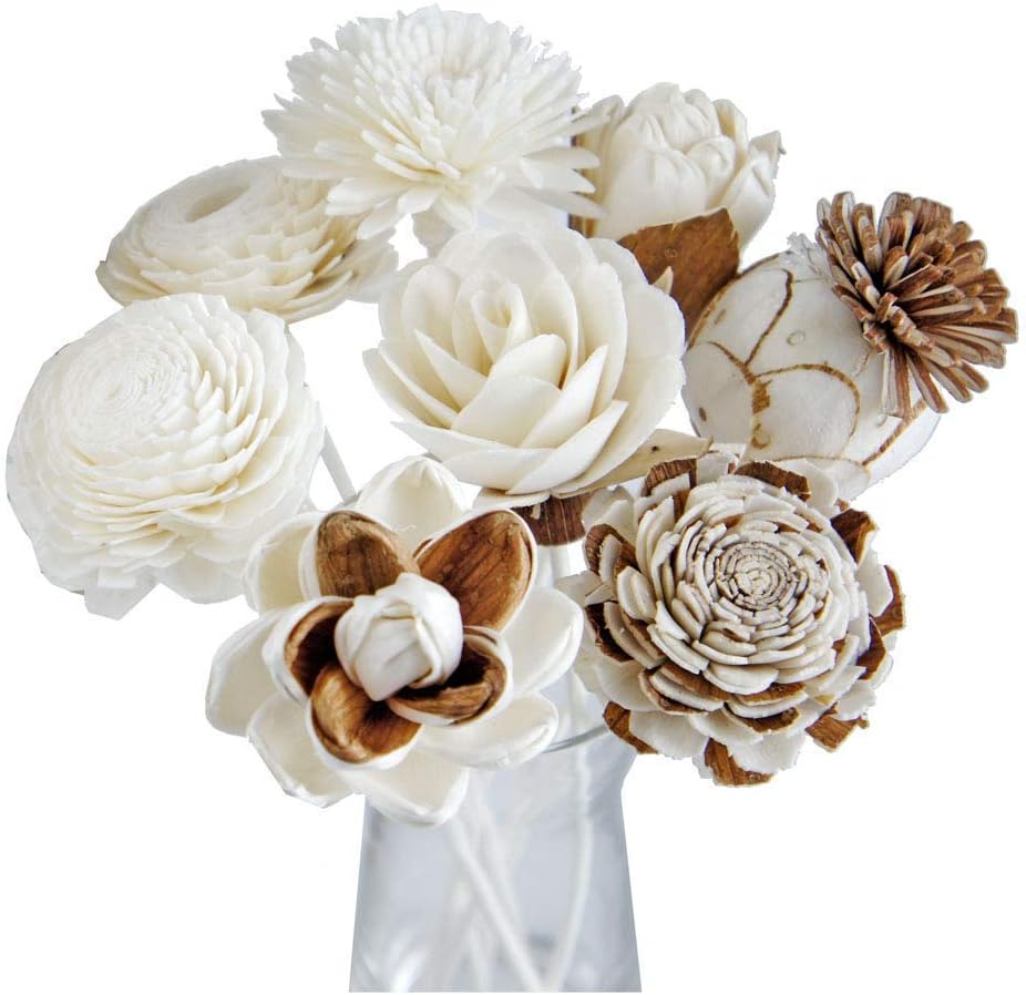 8 Mixed Sola Flower Reed Diffuser Set by Plawanature