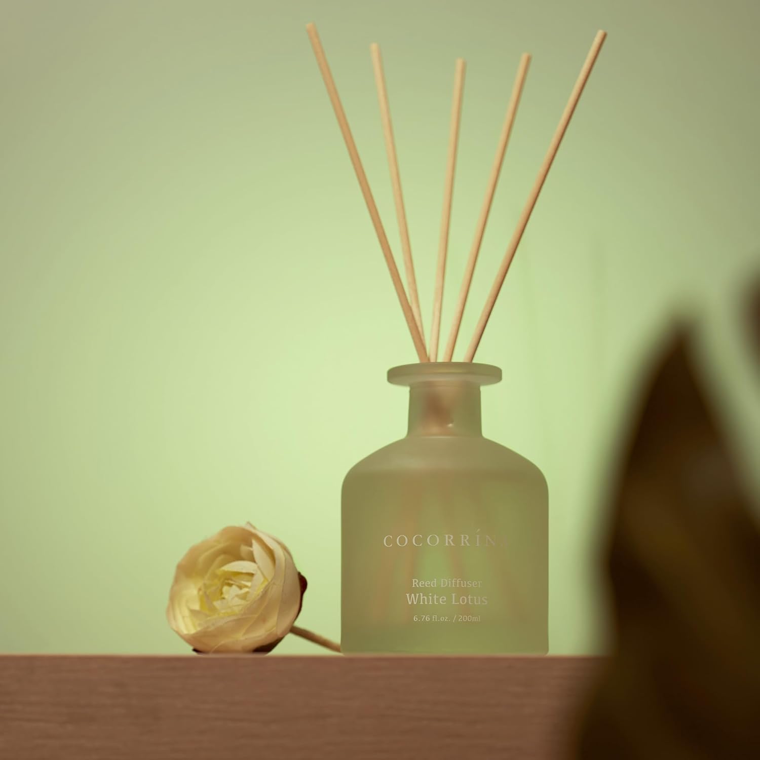 Cocorrina Reed Diffuser - White Lotus 676oz Set