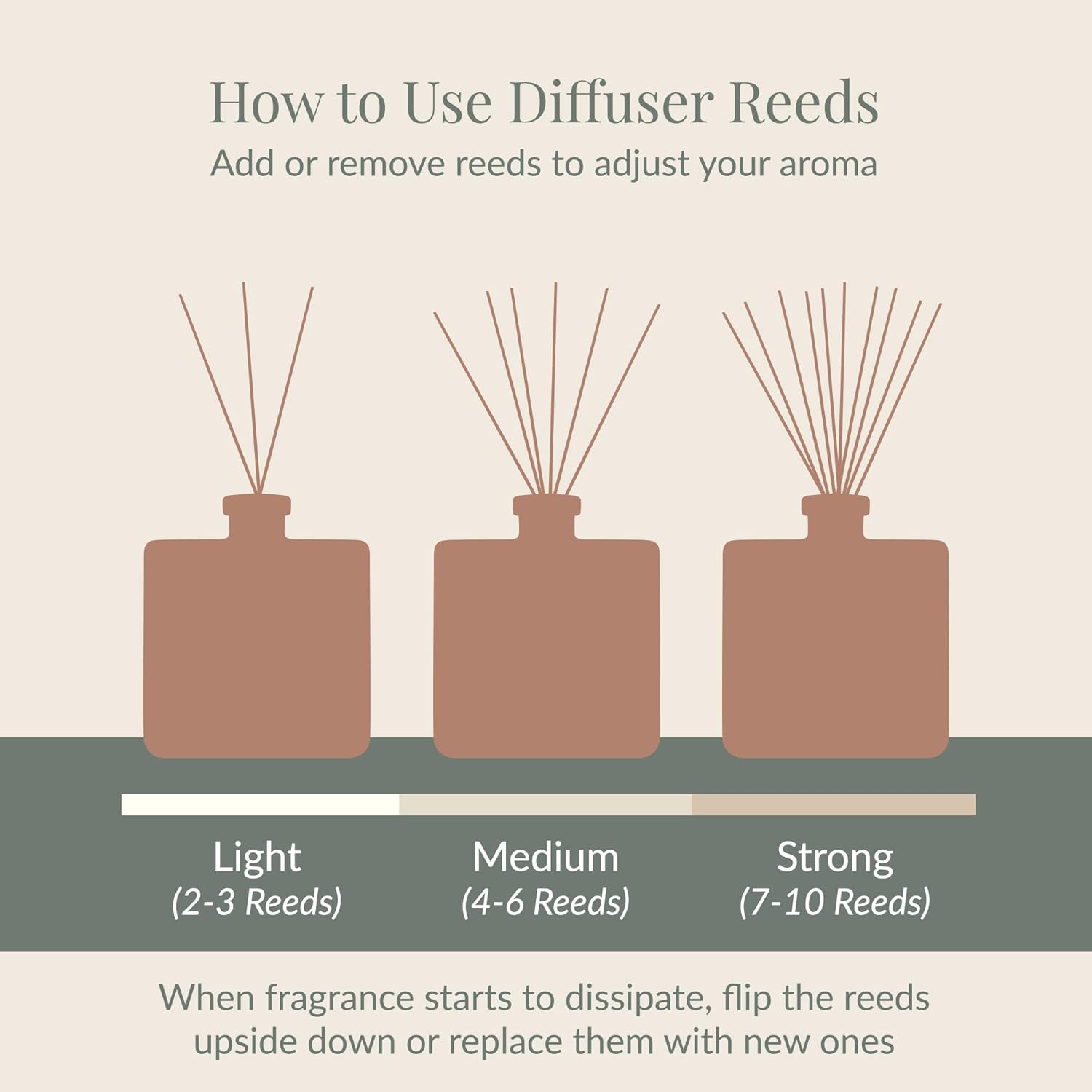 Archipelago Botanicals Havana Reed Diffuser Set