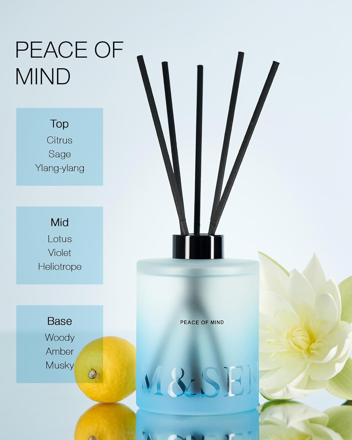 MSENSE Citrus Ylang Reed Diffuser Set 169 Fl Oz
