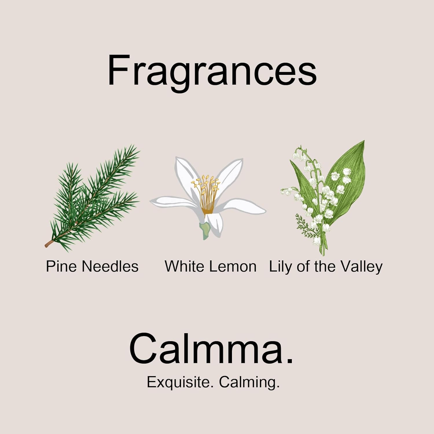 Ethereal Reed Diffuser Set with 2 Refills 6OZ
