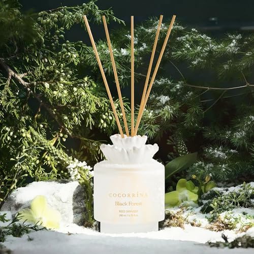 Cocorrina Gypsum Flower Diffuser Set - Black Forest Scent