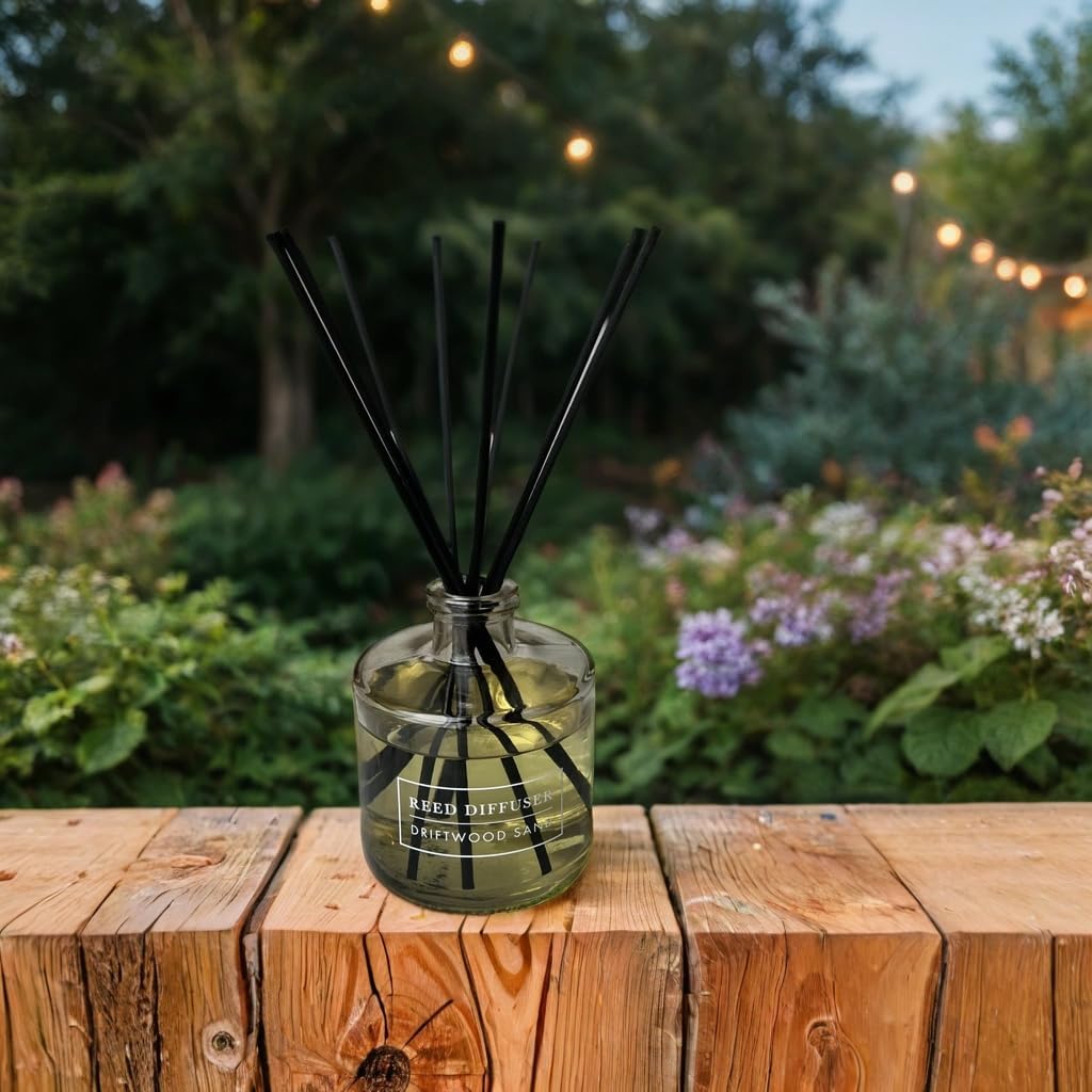 Bellevue Reed Diffuser Set 2 Pack 6 Fl Oz