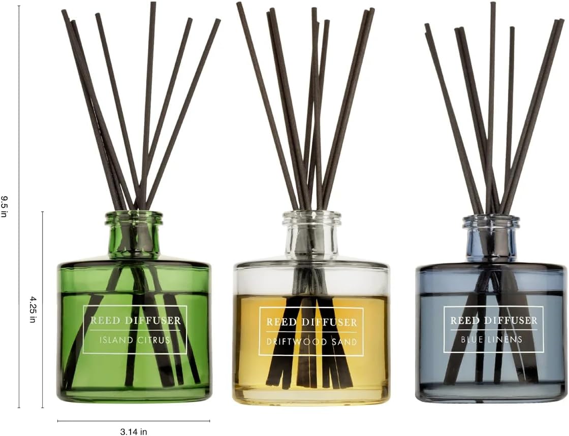 Bellevue Reed Diffuser Set 2 Pack 6 Fl Oz