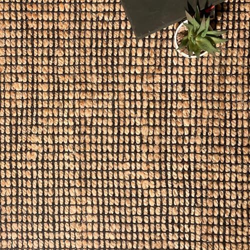 Chardin Home 2x3 Jute Cotton Woven Rug