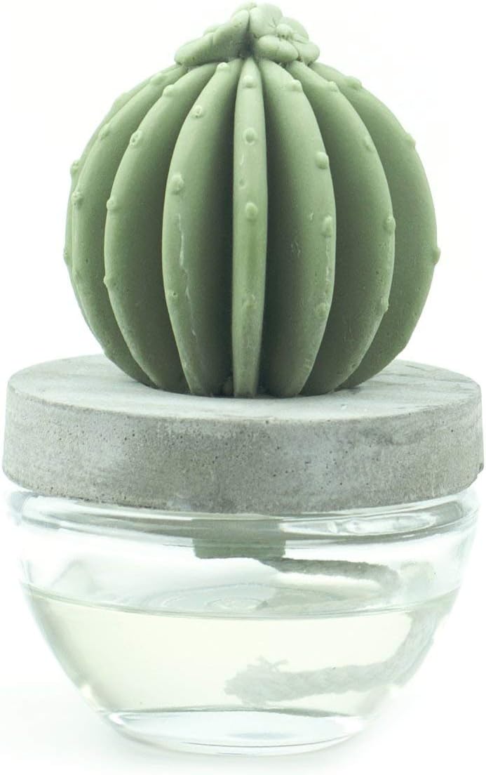 Pretty Valley Home Gypsum Cactus Ocean Breeze Reed Diffuser 100ml