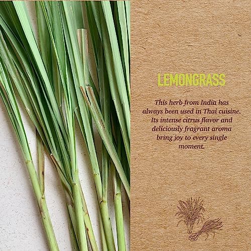 Biogreen Lemongrass Reed Diffuser 845 Ounce Set