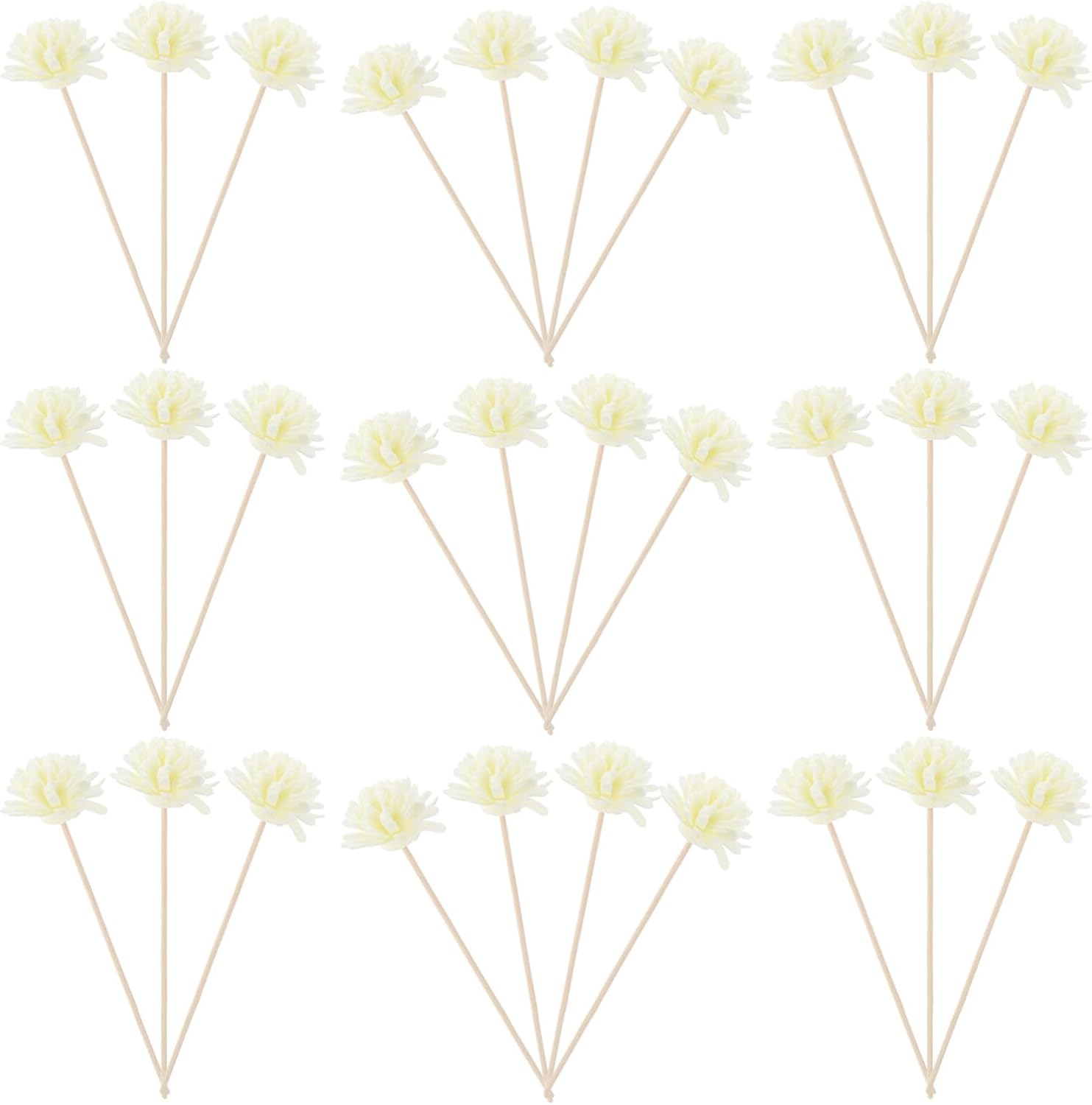 Lurrose 30pcs Flower Reed Diffuser Sticks Set