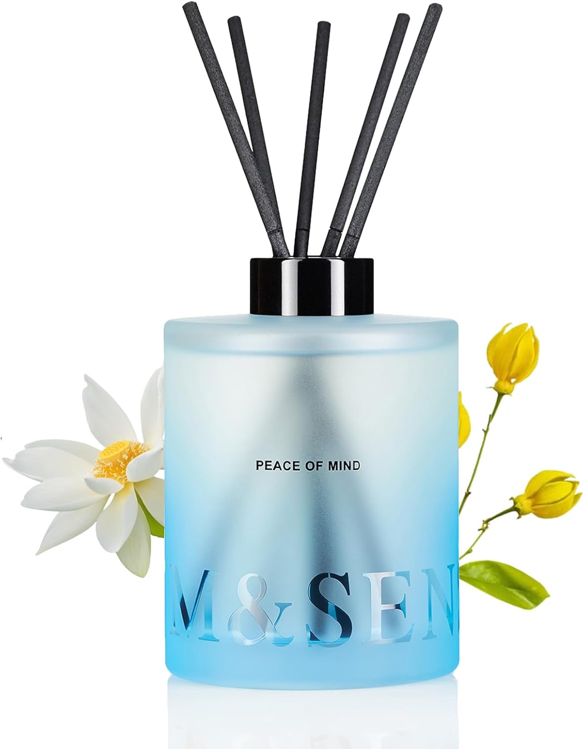 MSENSE Citrus Ylang Reed Diffuser Set 169 Fl Oz