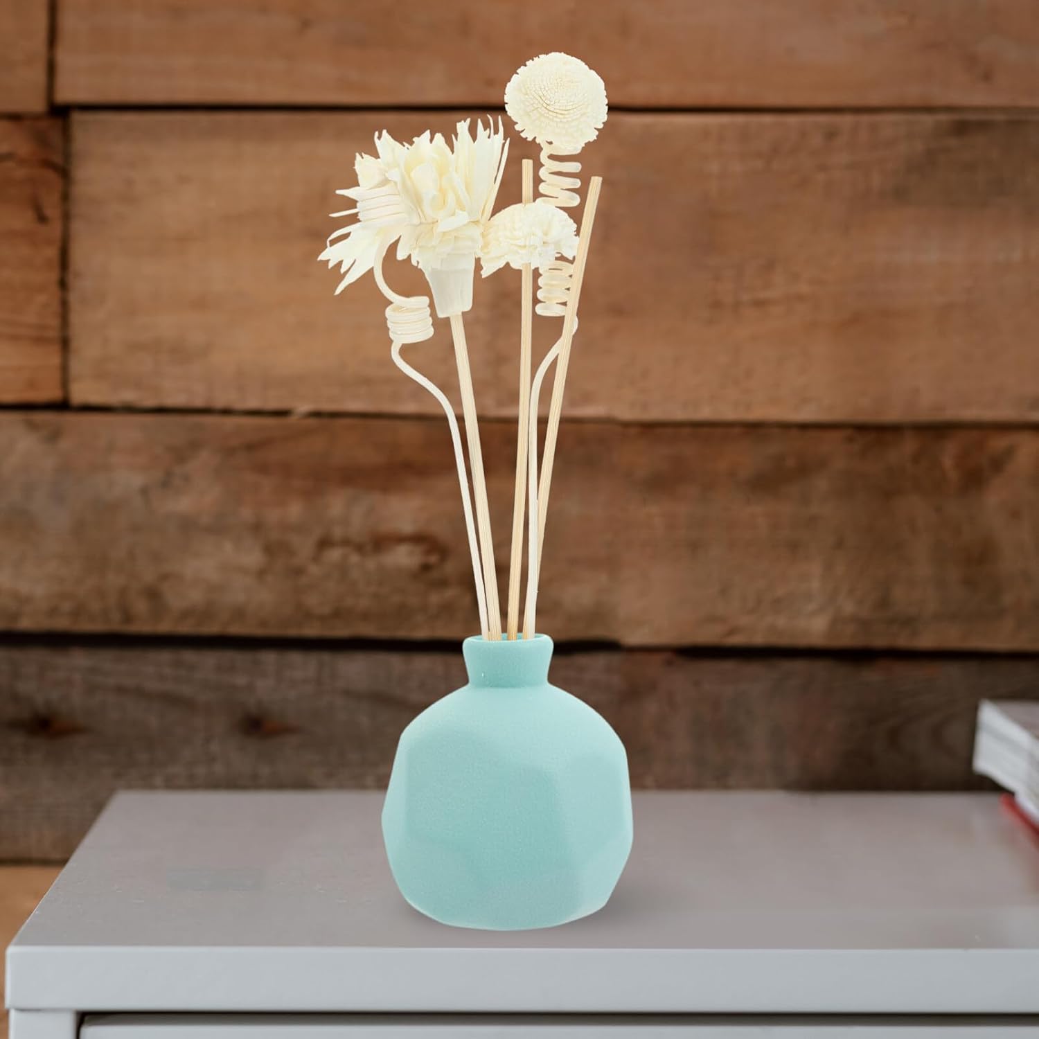HOMSFOU 1set Rattan Diffuser Sticks for Home Office