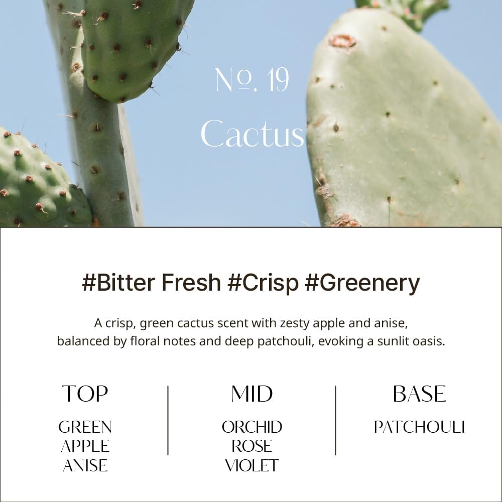 HETRAS Objet Diffuser Set 67 Fl Oz 2 Pack Cactus Fresh Greenery Scent
