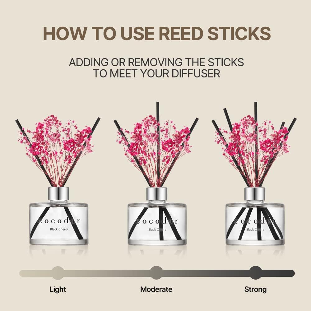 Cocodor April Breeze Reed Diffuser Set 2 Pack 67oz