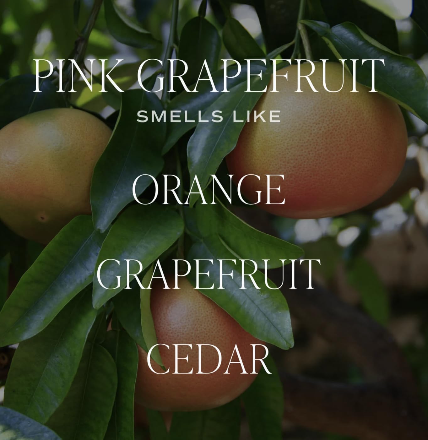 Pink Grapefruit Diffuser for Fresh Home Aroma
