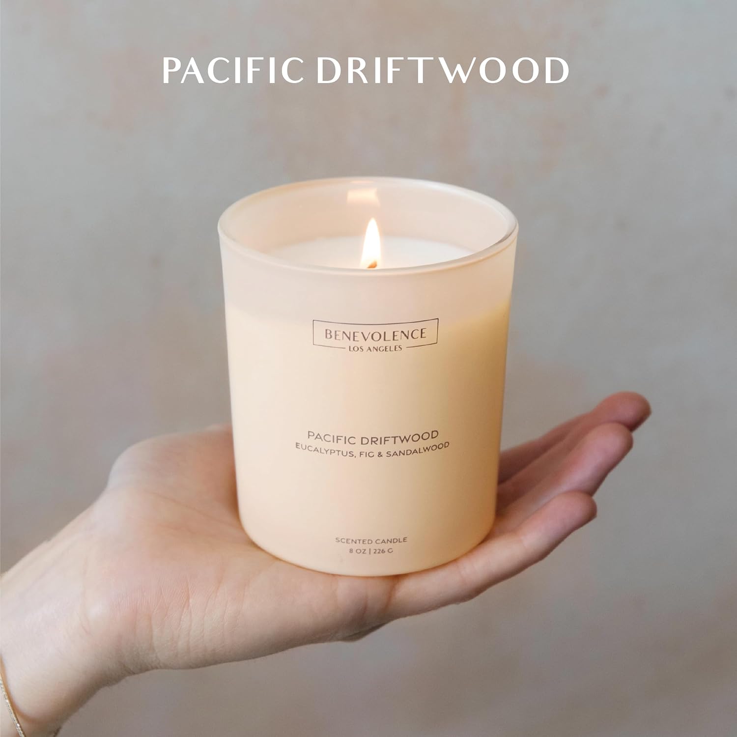 Benevolence LA Pacific Driftwood Diffuser and Candle Set