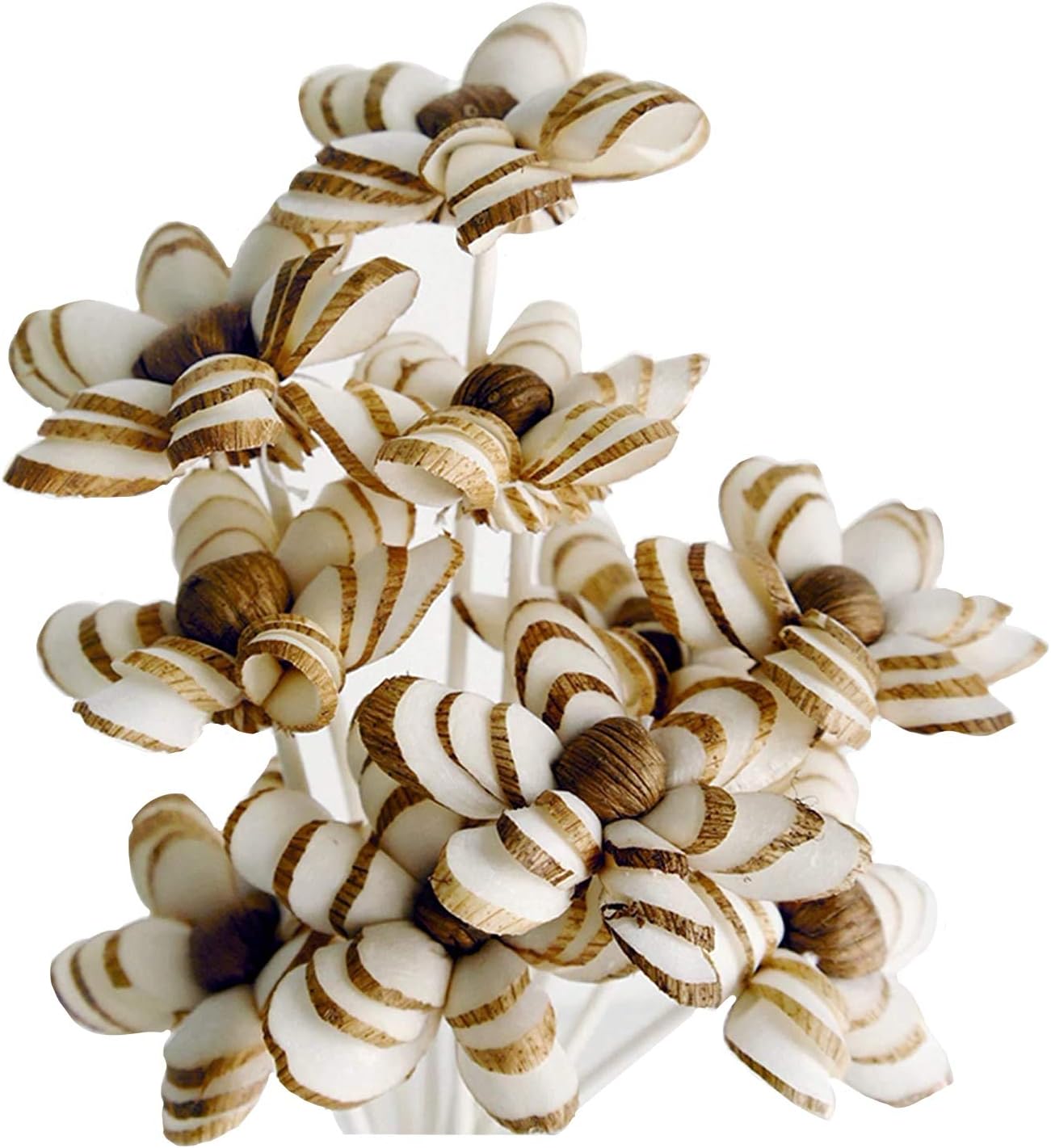 10 Geranium Sola Flower Reed Diffusers for Natural Home Fragrance