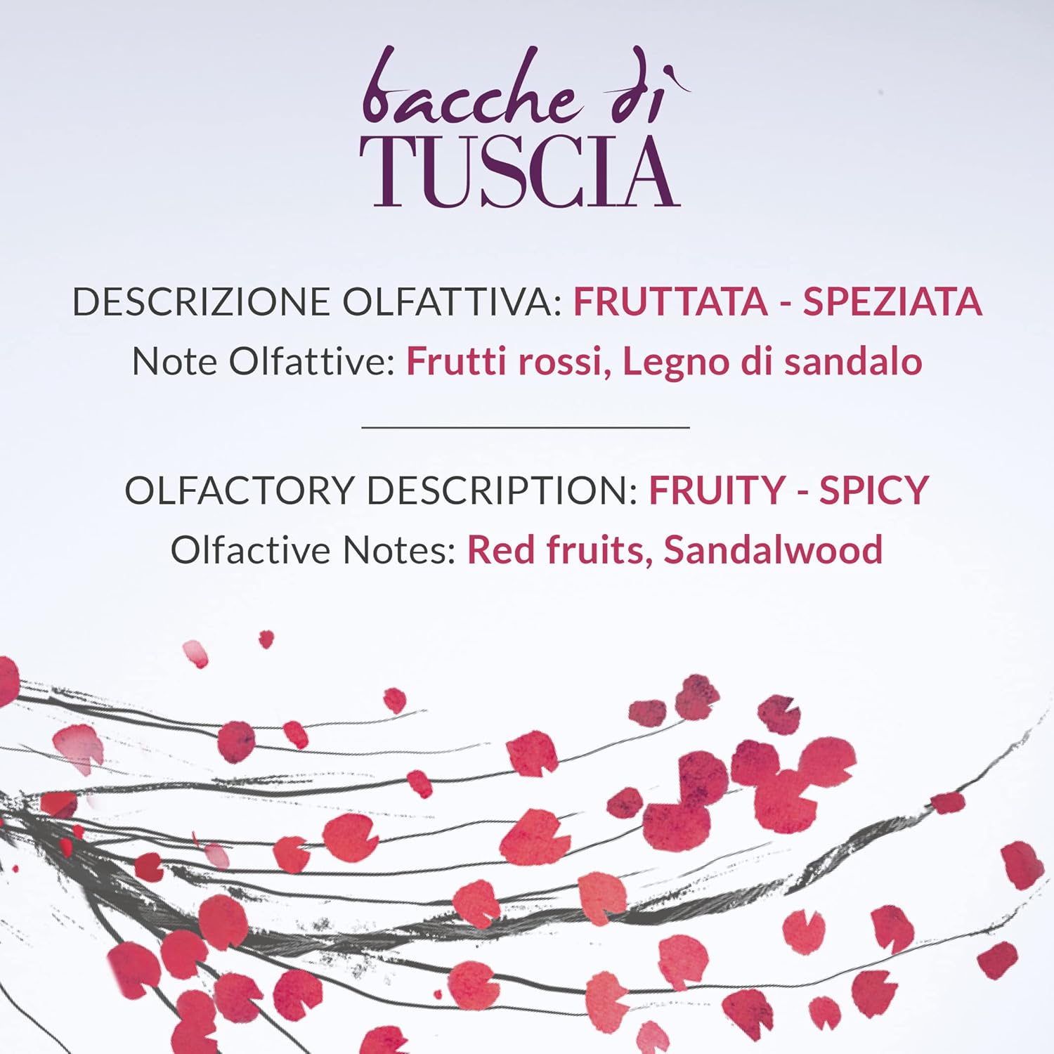 Erbario Toscano Bacche Di Tuscia Reed Diffuser 100ml