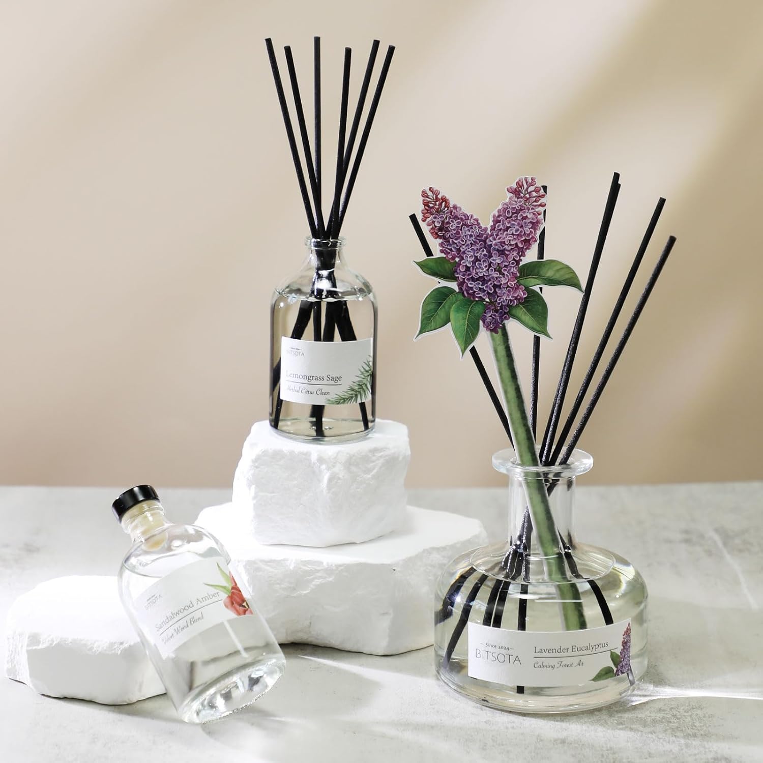 BITSOTA Reed Diffuser Set with Lavender Eucalyptus Scent