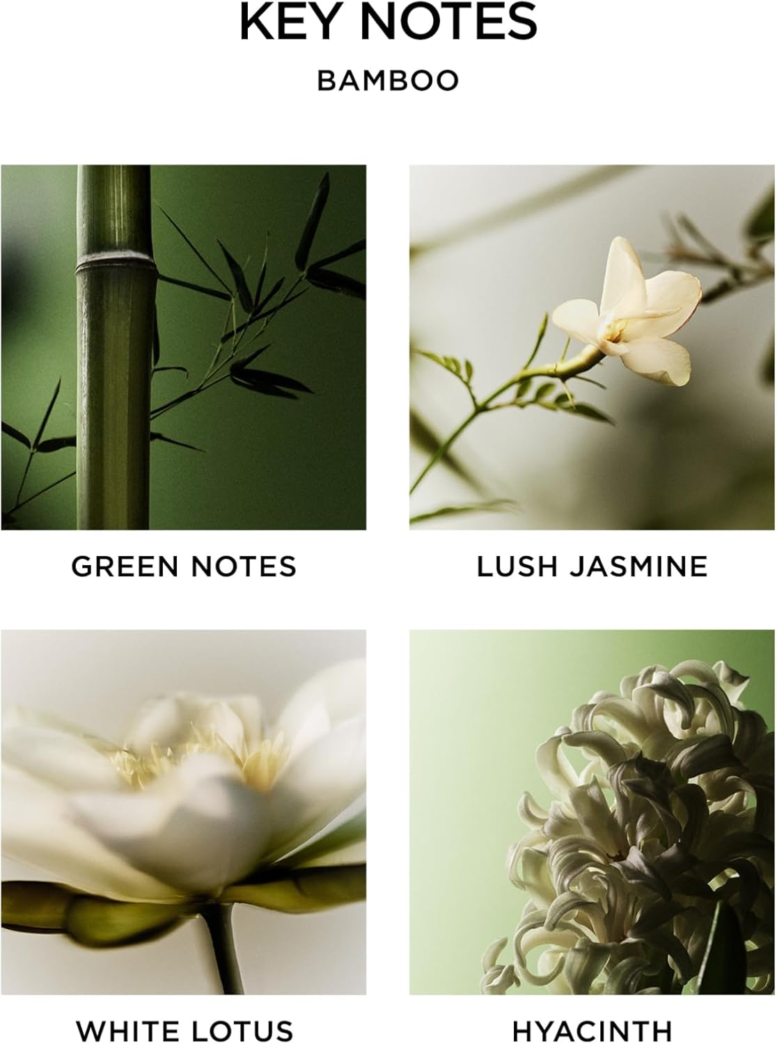 Bamboo Reed Diffuser Set with Refill and Liquid Soap