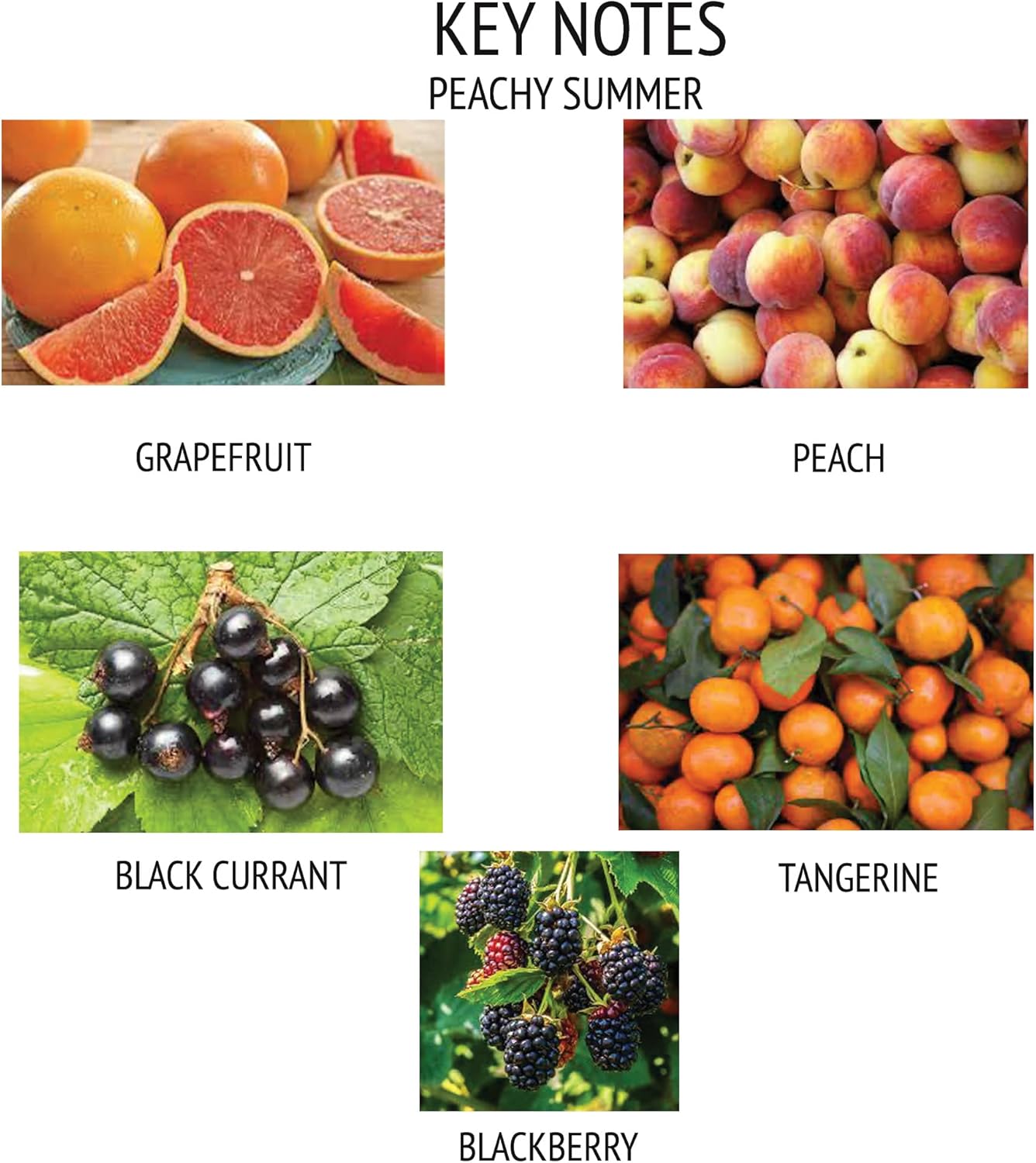 Divina Esencial Luxury Reed Diffuser Set with 120ml Amber Glass Bottle and 5 Reeds