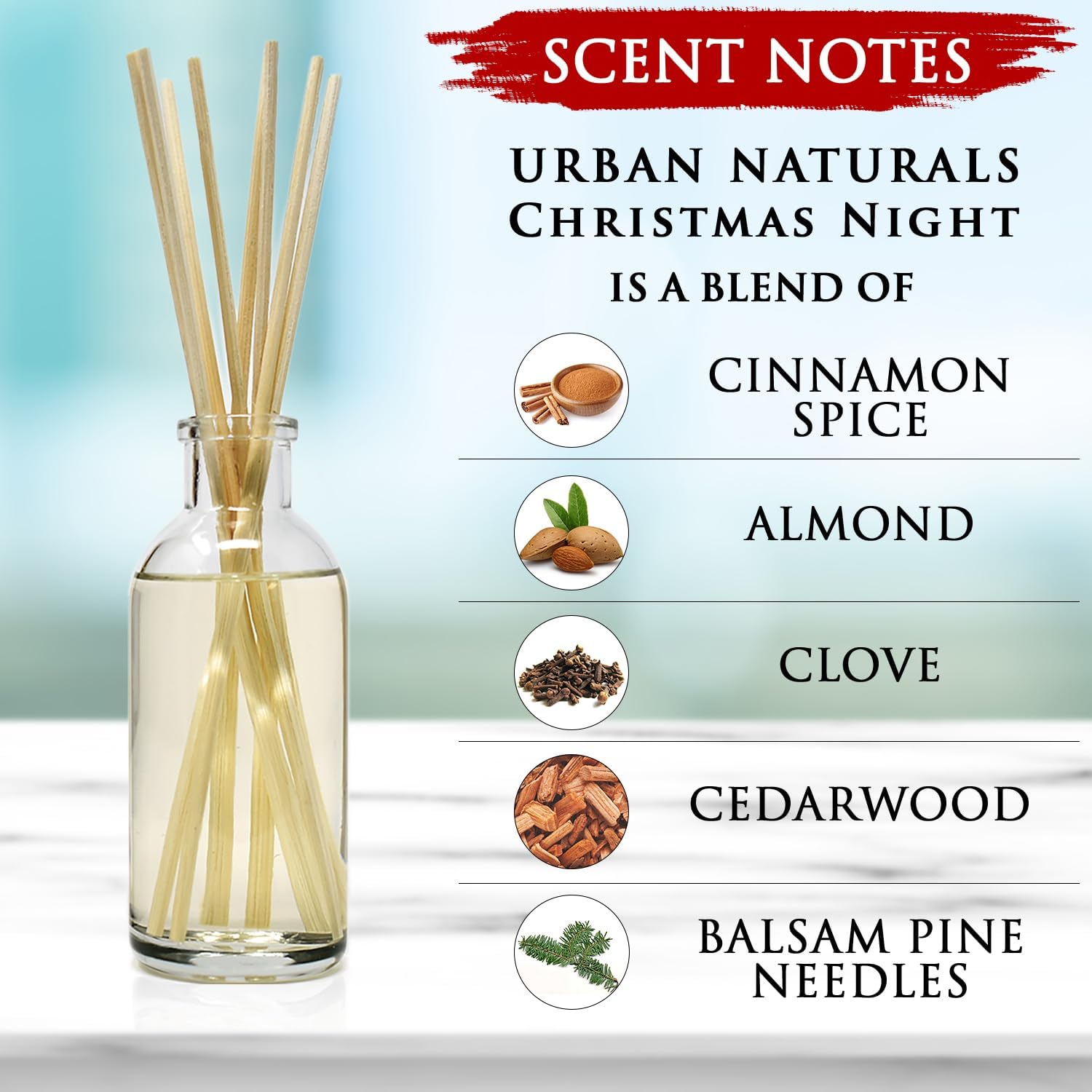 Urban Naturals Christmas Night Reed Diffuser Set