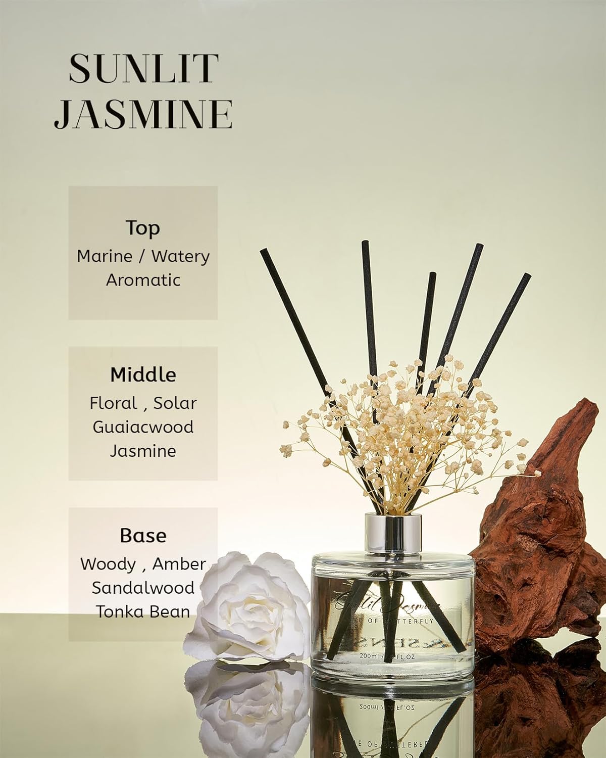 MSENSE Reed Diffuser Set with 7 Sticks