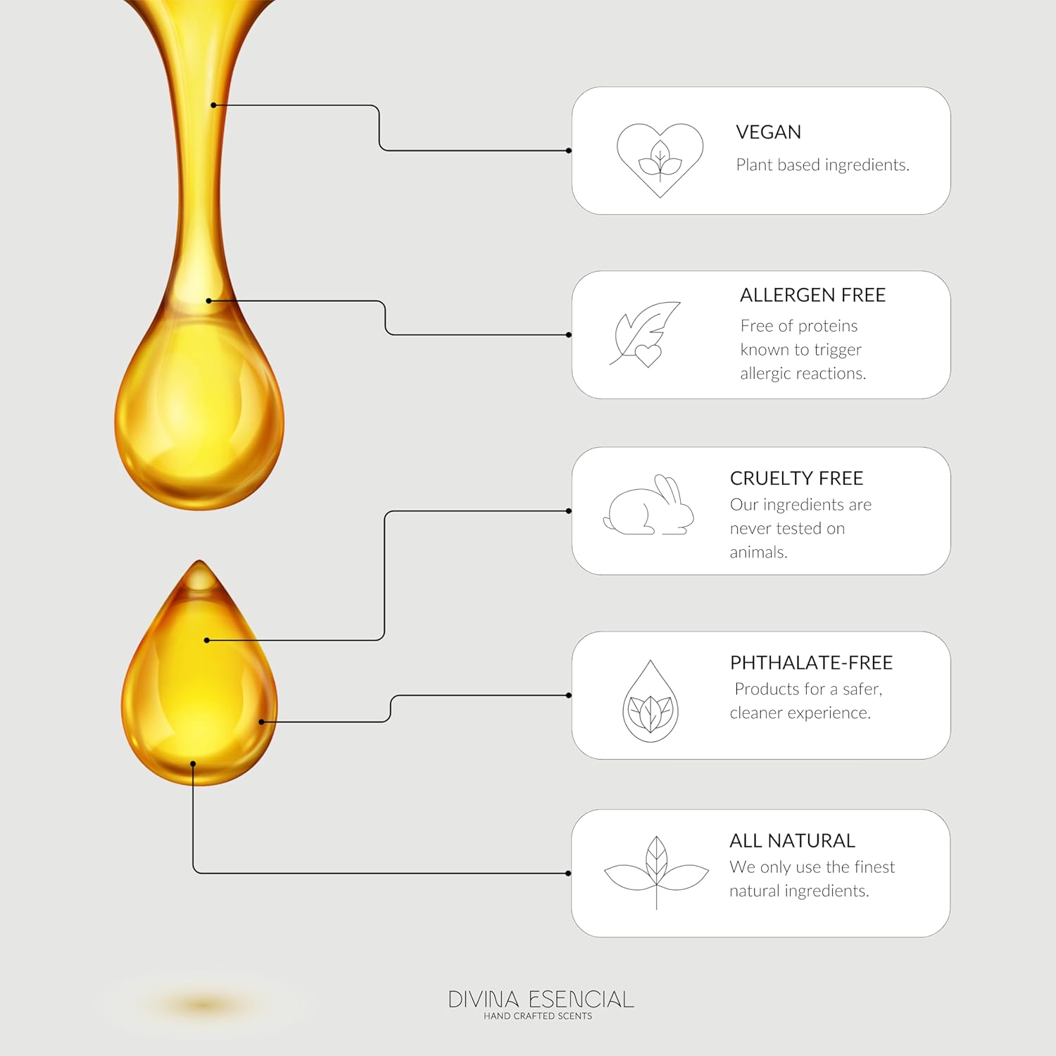Divina Esencial Aloha Kakou Reed Diffuser Set
