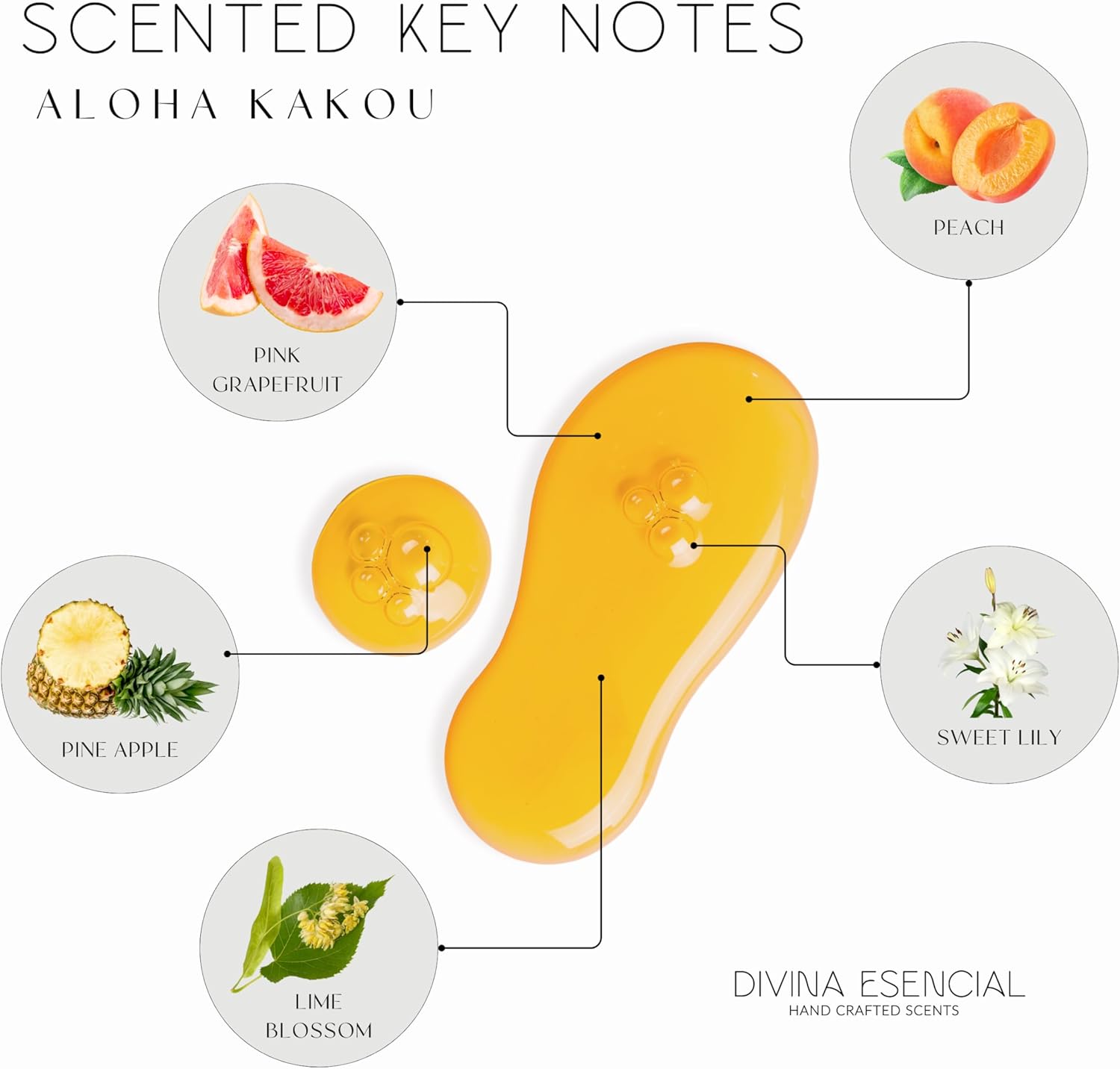 Divina Esencial Aloha Kakou Reed Diffuser Set
