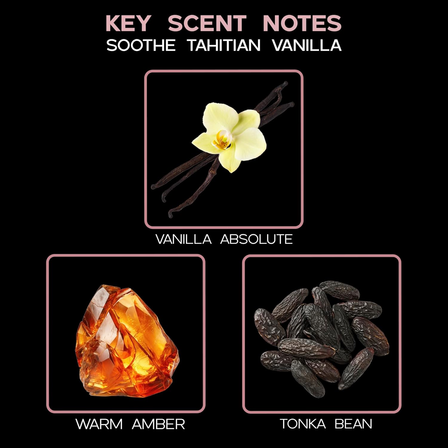 LOVSPA Tahitian Vanilla Reed Diffuser Set - Vanilla Amber Tonka Bean Scent