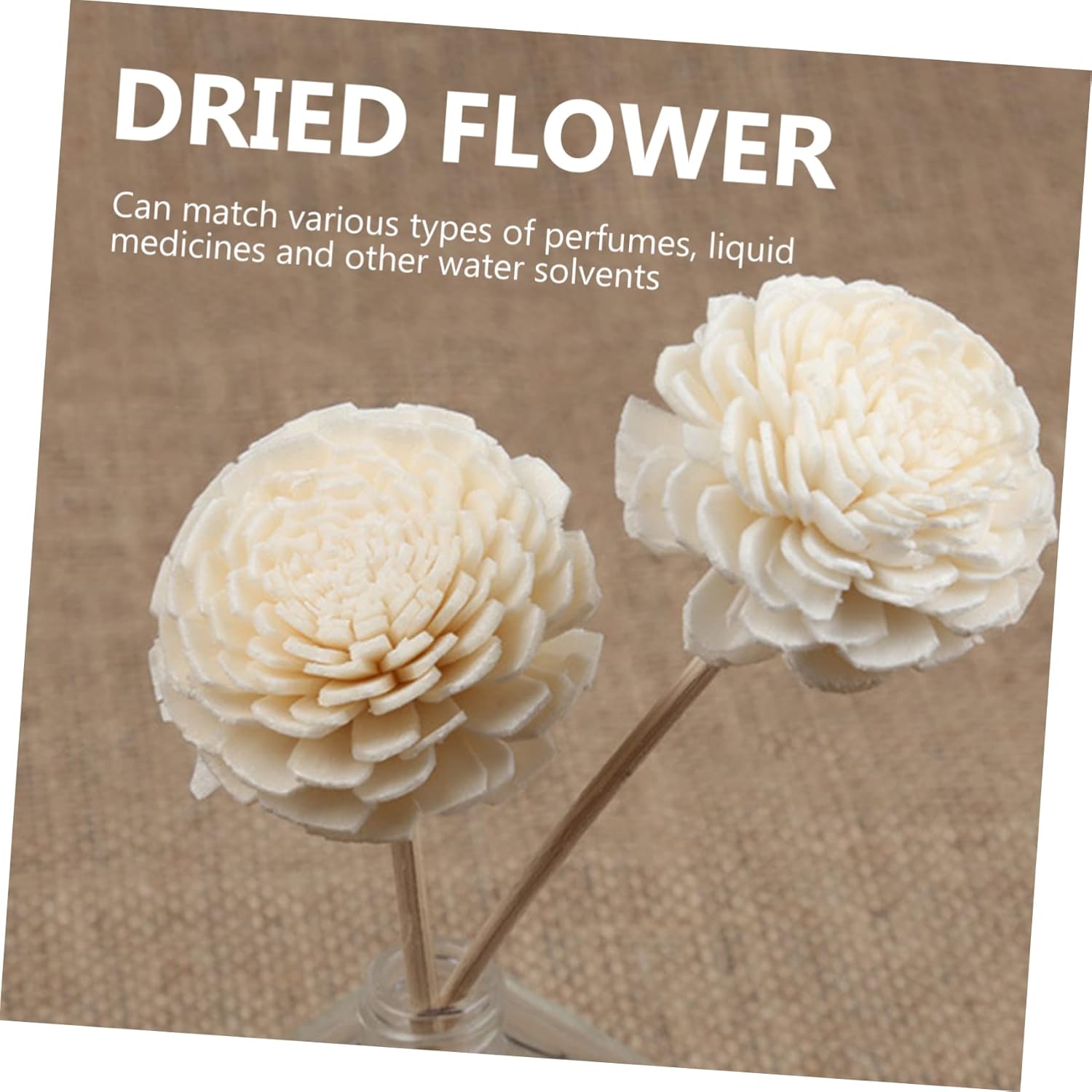 3pcs Handmade Dried Flower Sticks for Home Elegant Rattan Diffuser Reeds