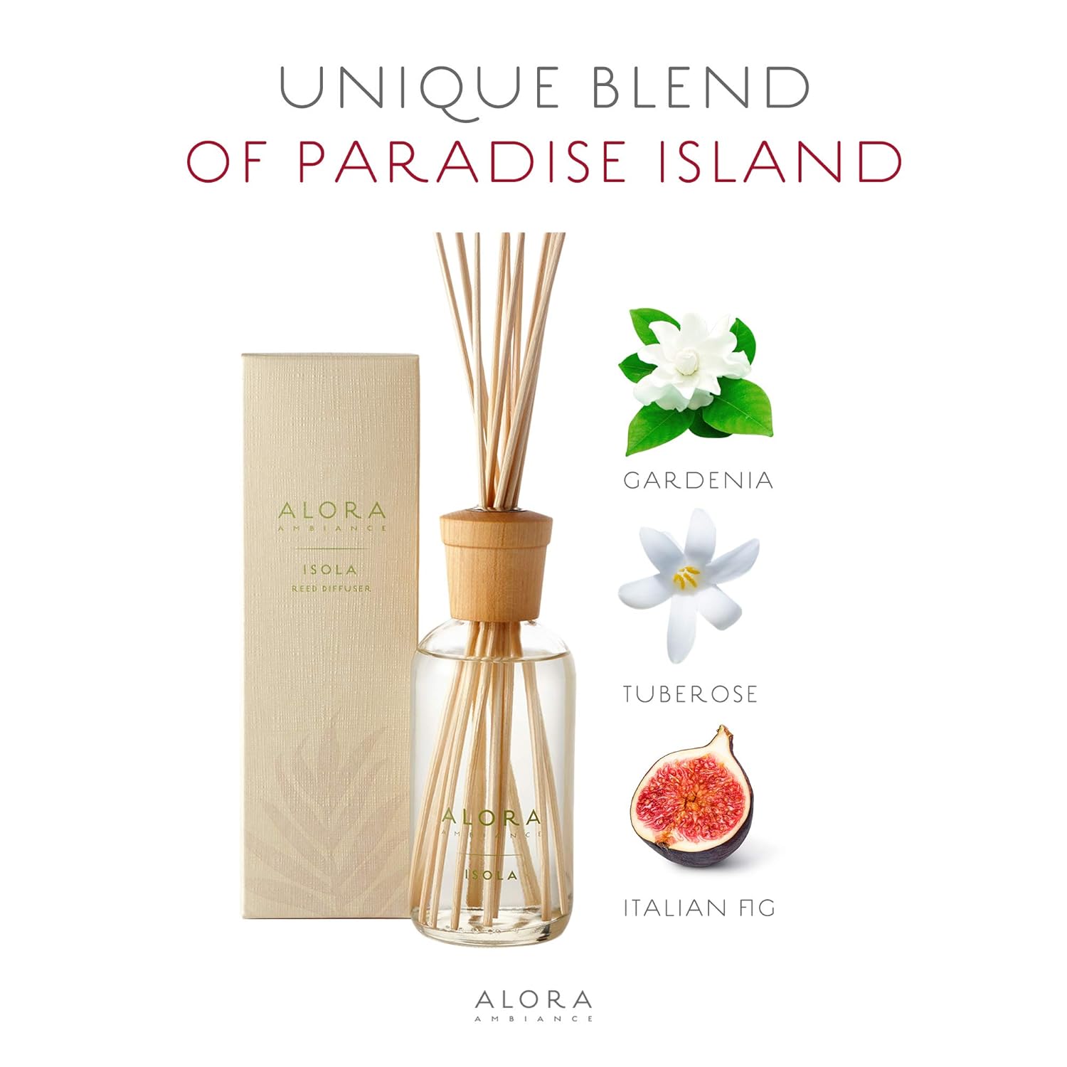 Alora Ambiance Isola 8 oz Reed Diffuser Set