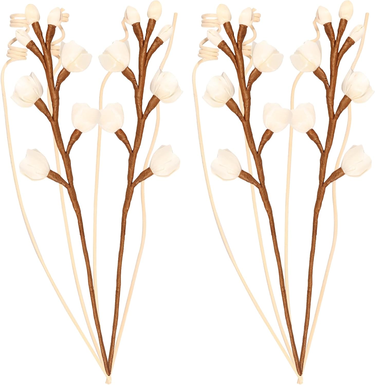 12 Pcs Reed Diffuser Set Elegant Home Fragrance