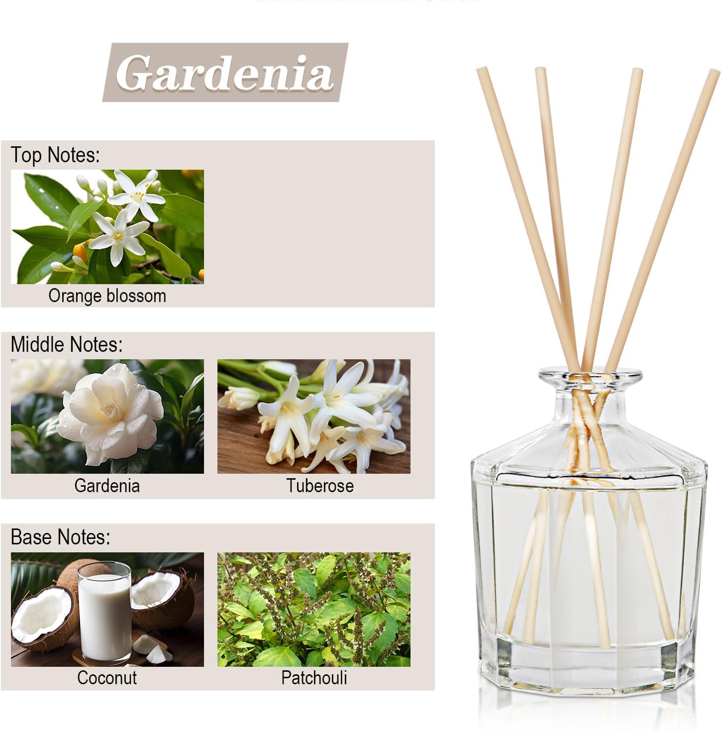 Gardenia Reed Diffuser Set with 10 Sticks