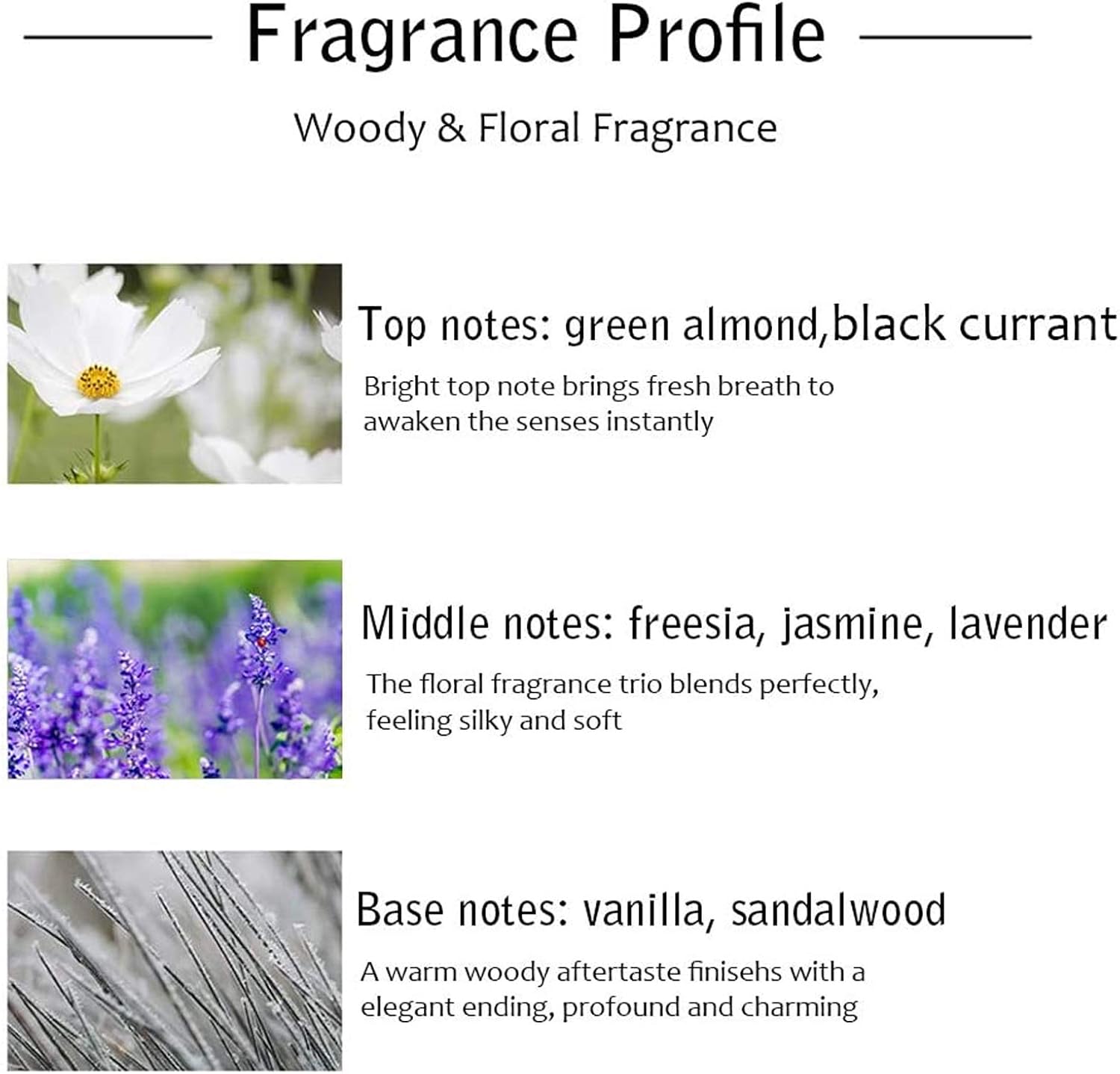 Binca Vidou Reed Diffuser Set - 150 ml Fragrance Oil
