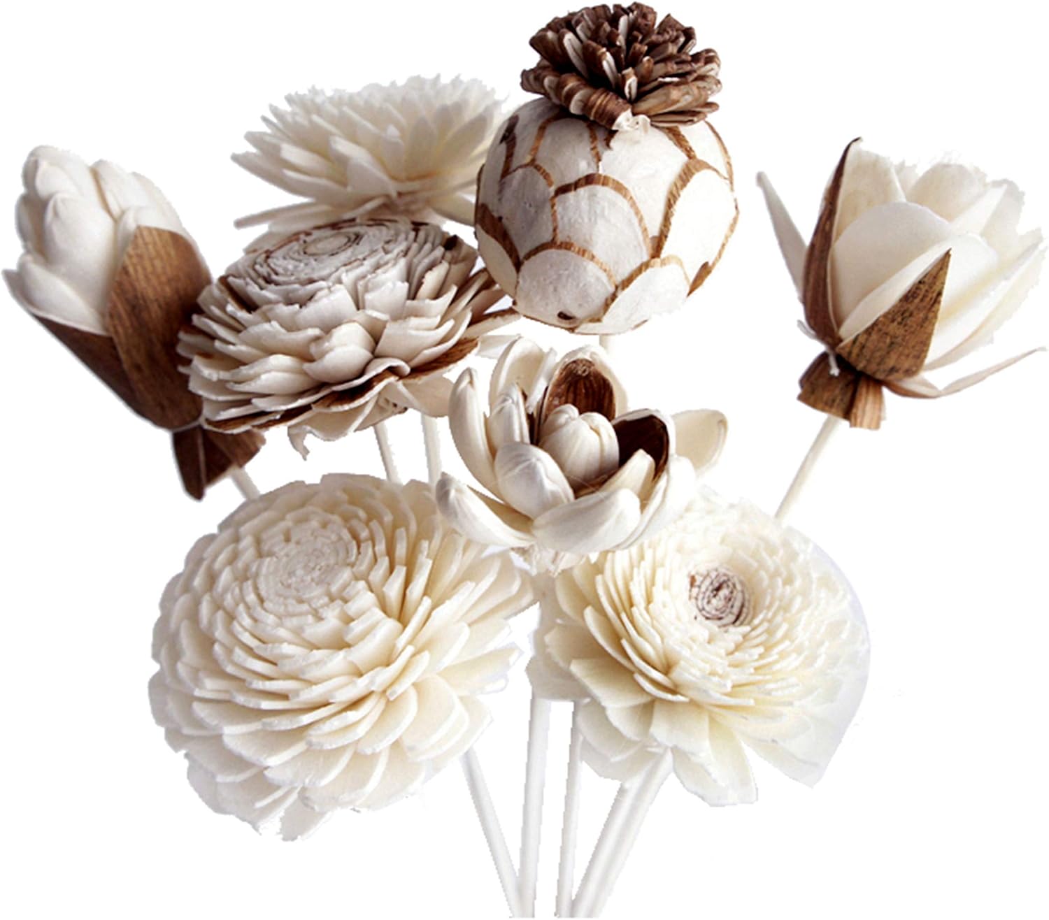 8 Mixed Sola Flower Reed Diffuser Set by Plawanature