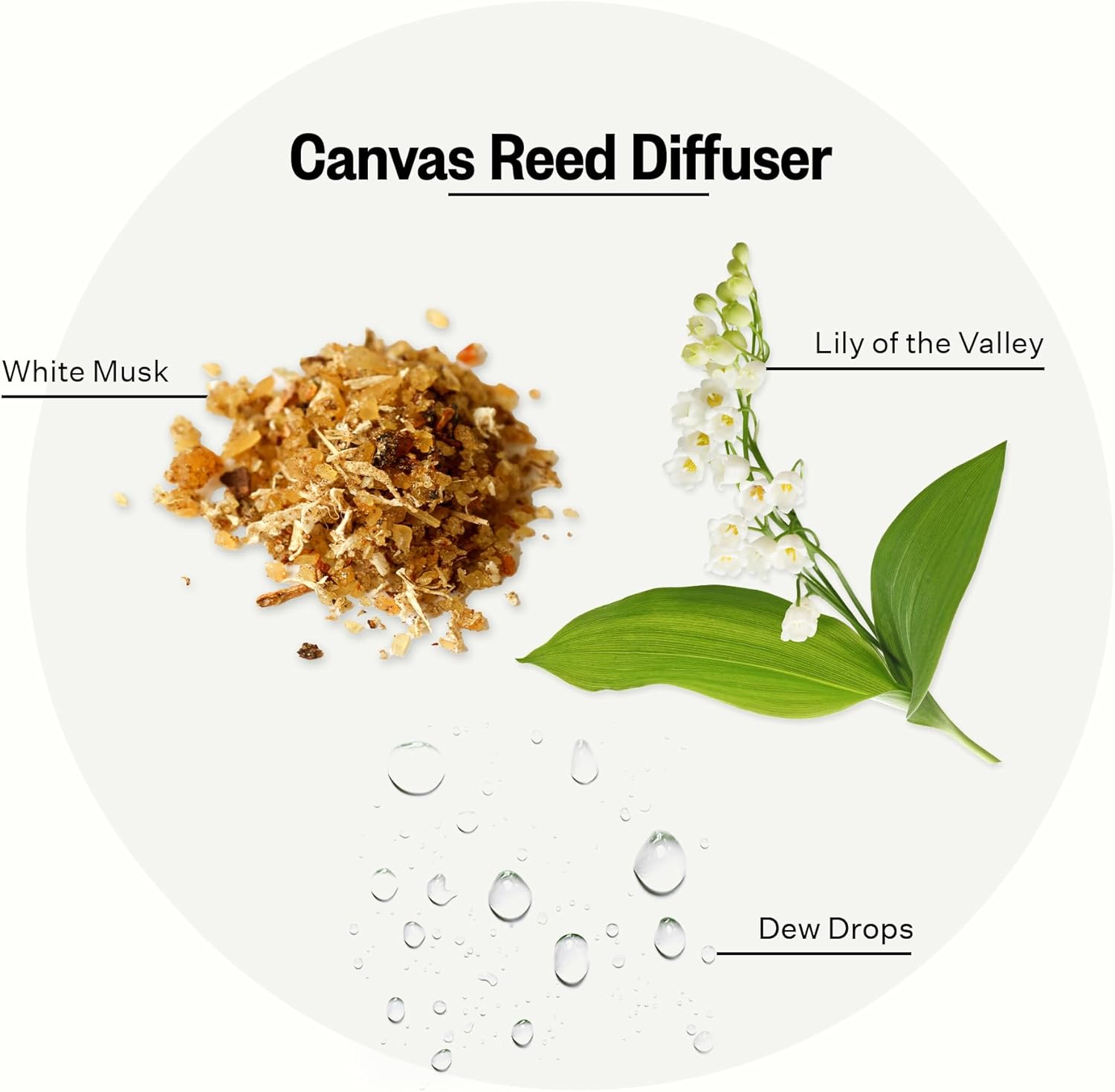 APOTHEKE Canvas Reed Diffuser Set 67 Fl Oz
