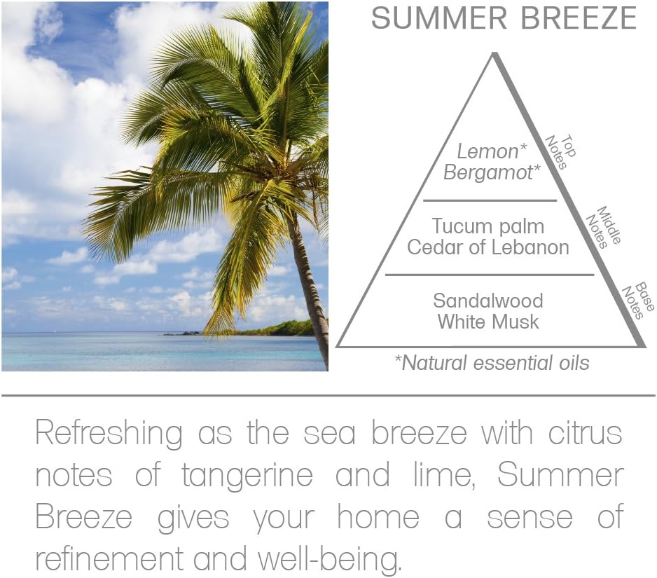 Acqua Aroma Summer Breeze Reed Diffuser 81 FL OZ