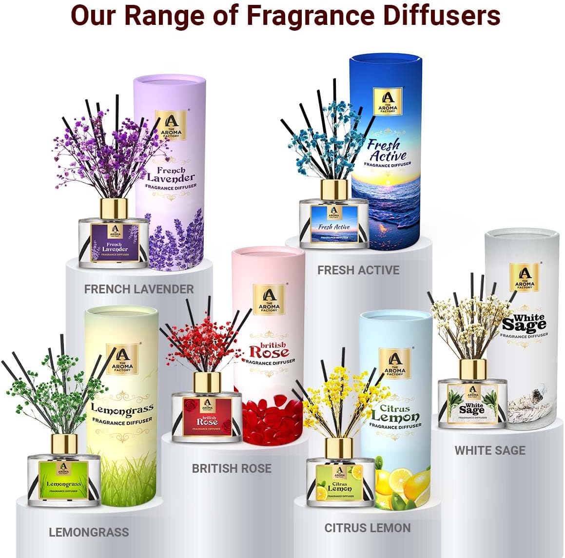 White Sage Reed Diffuser Set with Essential Oil and Preserved Flowers