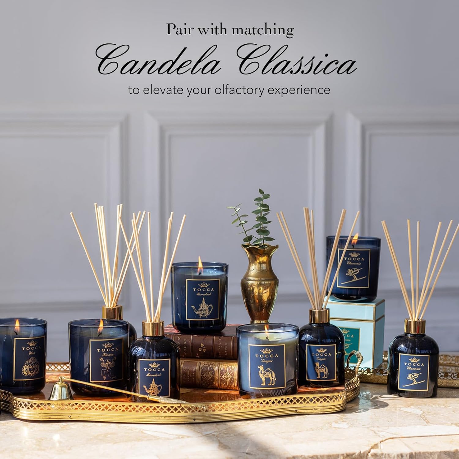 TOCCA Feu de Touch Reed Diffuser 6oz Gardenia Pomegranate