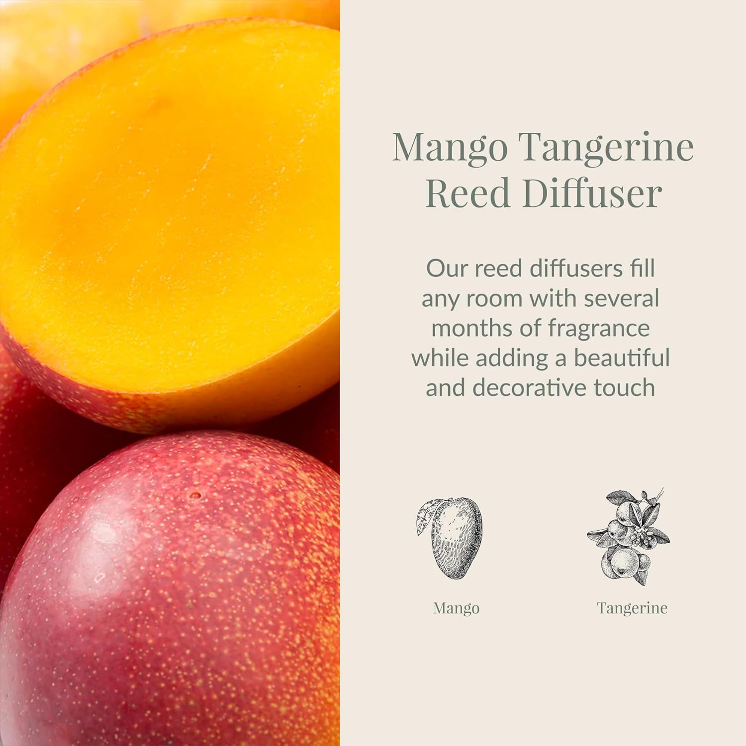 Archipelago Botanicals Mango Tangerine Reed Diffuser Set