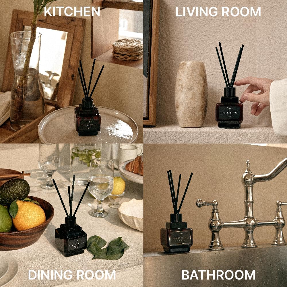 HETRAS Objet Diffuser Set 67 Fl Oz 2 Pack Cactus Fresh Greenery Scent