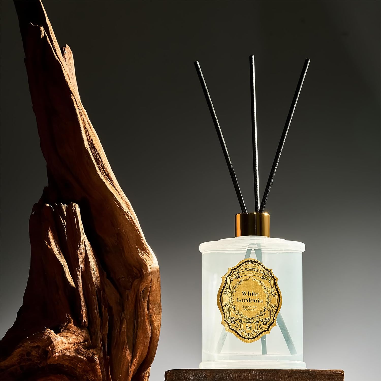 MSENSE 84 oz Large Reed Diffuser Set