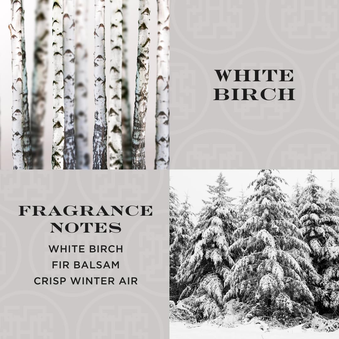 HomeWorx by SLATKIN CO White Birch Reed Diffuser