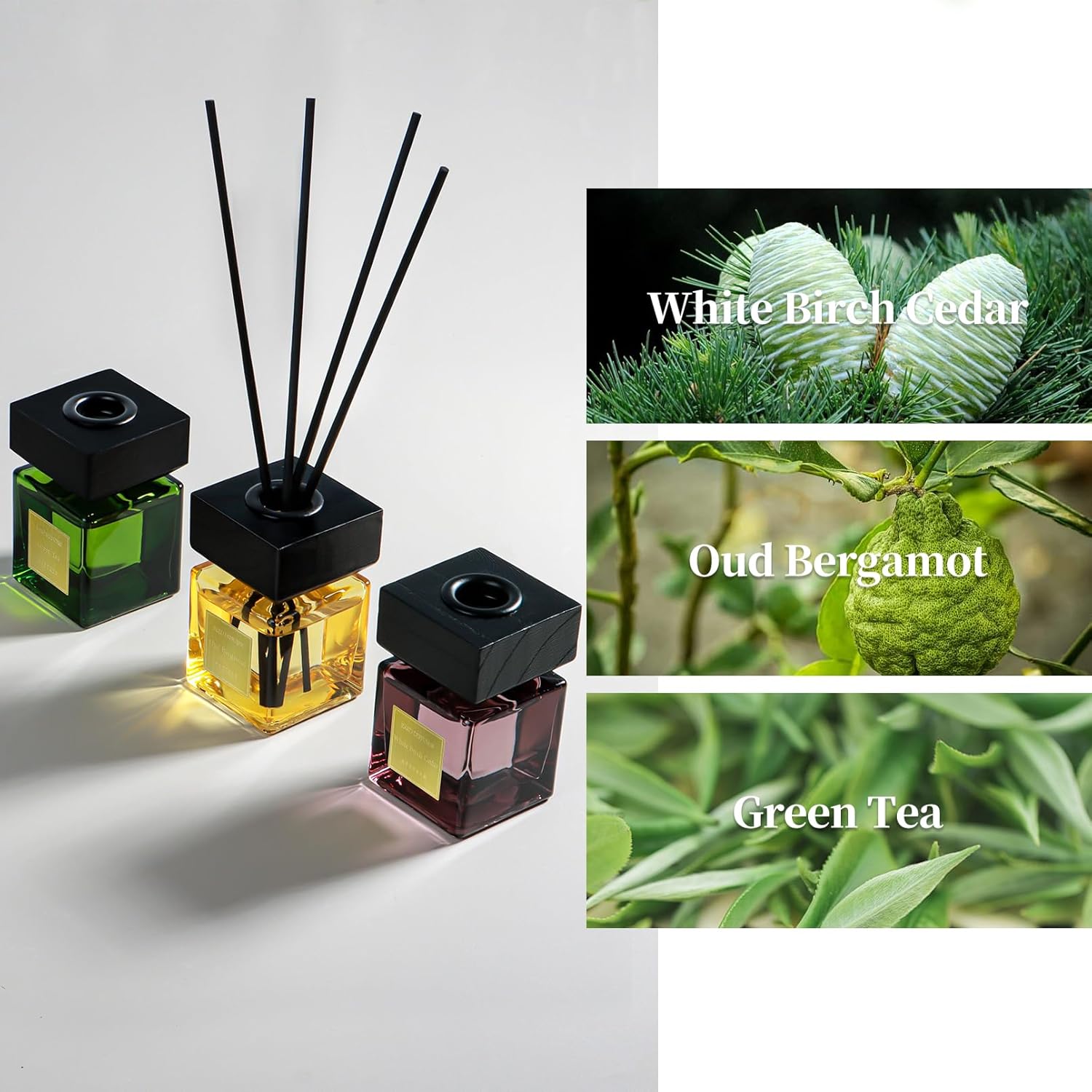 Aeeteek Reed Diffuser Set of 3 with Fragrance Oil