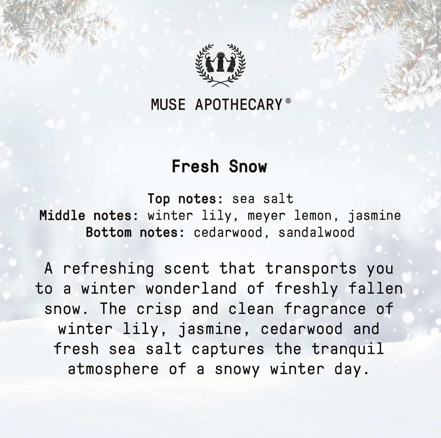 Muse Apothecary Flush Ritual Toilet Spray - Fresh Snow Pack of 3